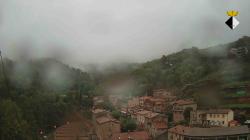 Webcams