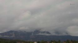 Webcams