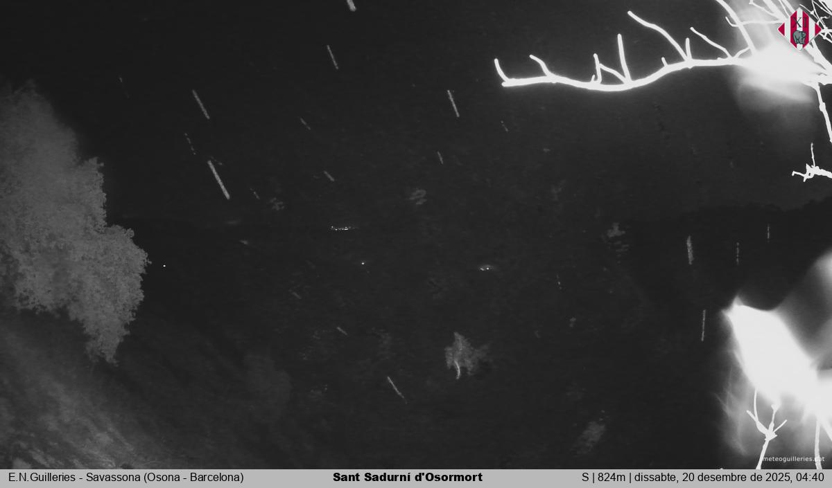 Sant Sadurní d'Osormort 