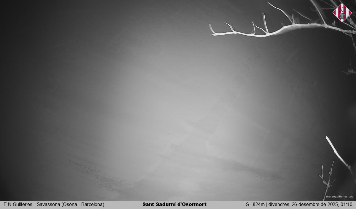 Sant Sadurní d'Osormort 