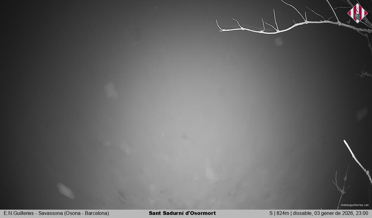 Sant Sadurní d'Osormort 