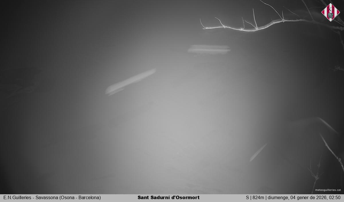 Sant Sadurní d'Osormort 