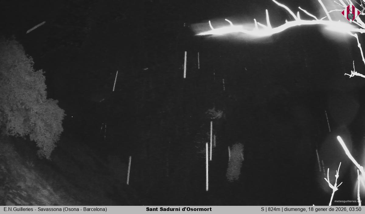 Sant Sadurní d'Osormort 