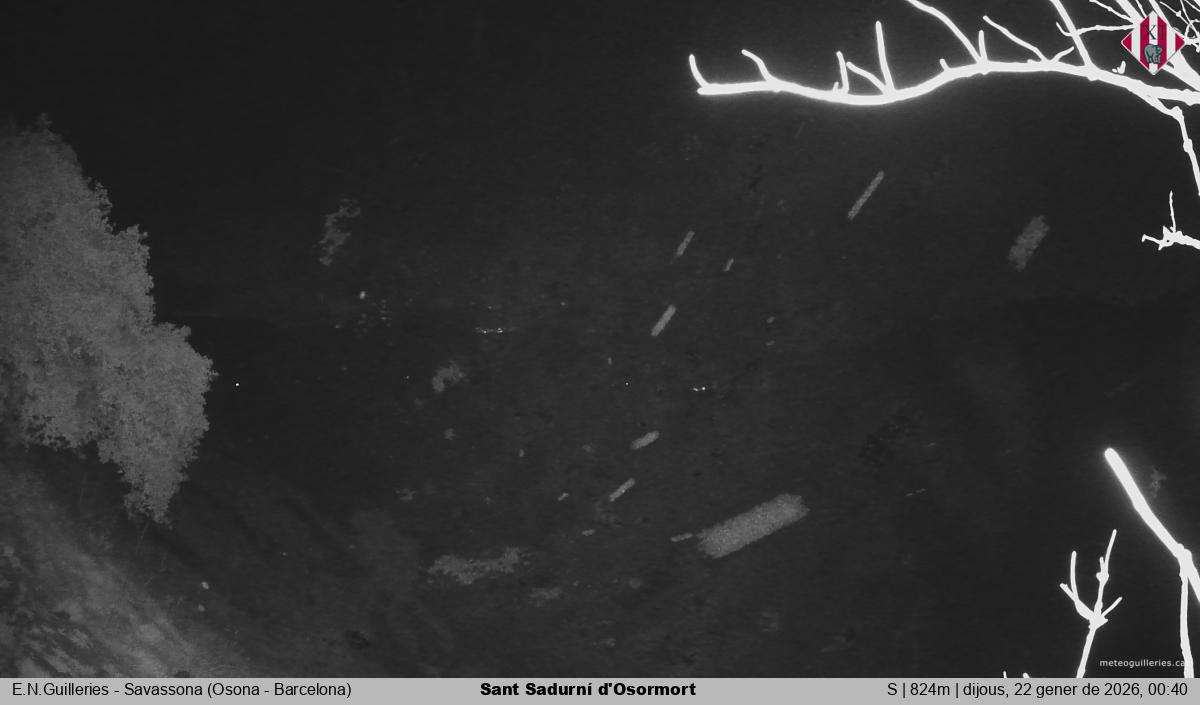 Sant Sadurní d'Osormort 