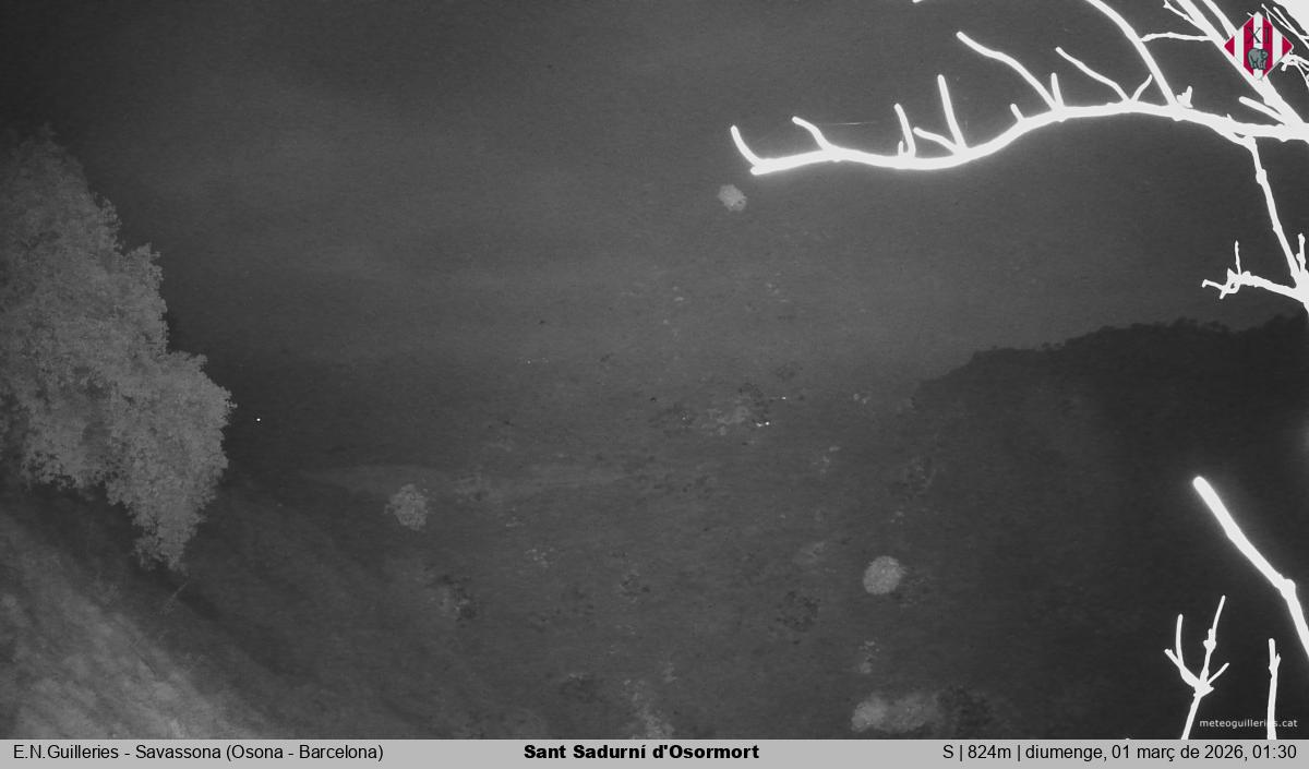 Sant Sadurní d'Osormort 