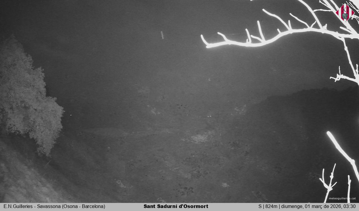 Sant Sadurní d'Osormort 