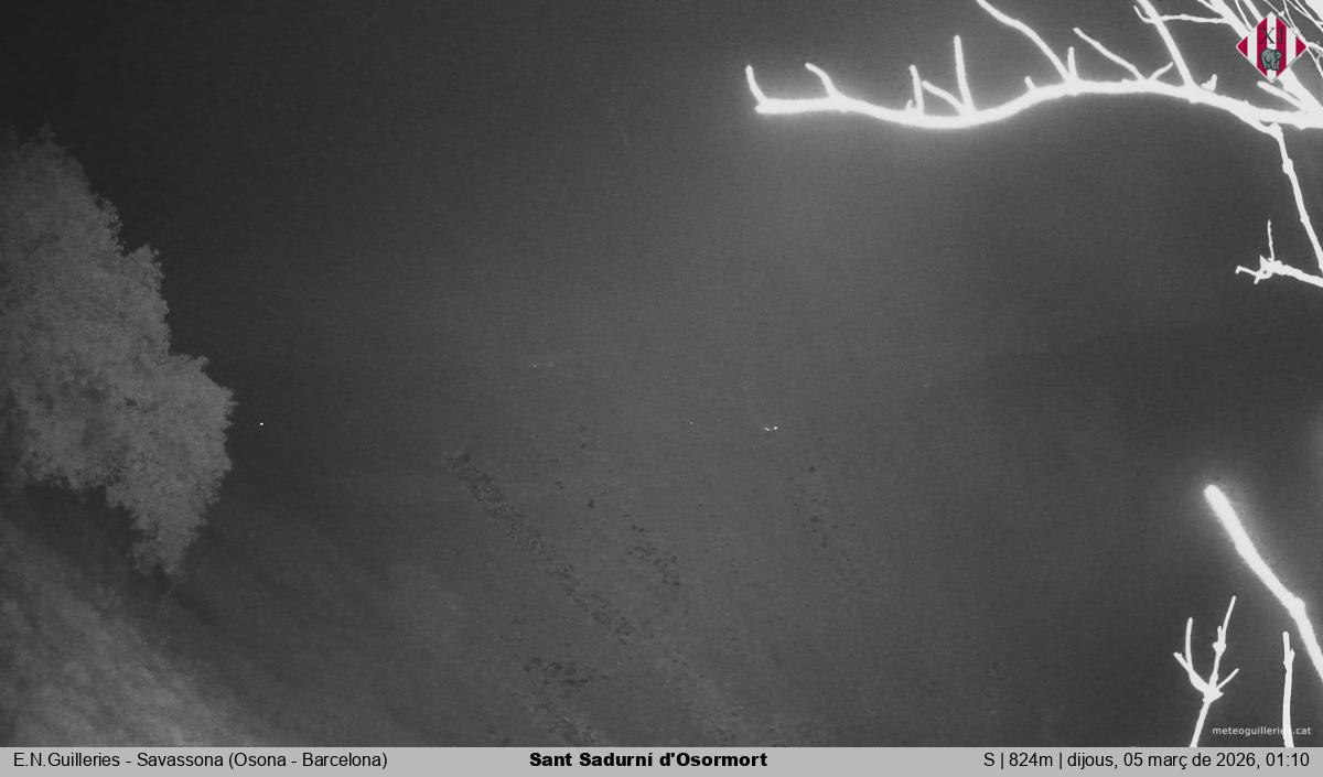 Sant Sadurní d'Osormort 