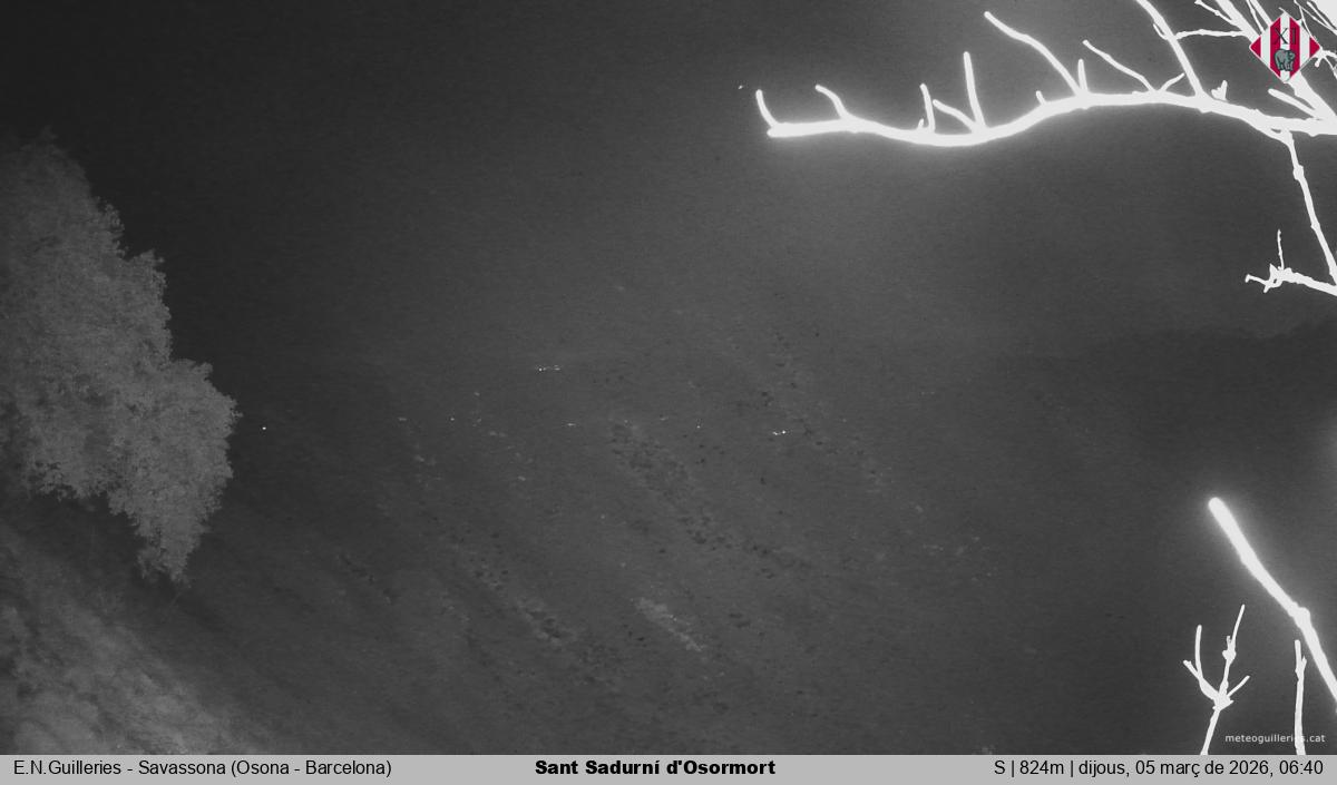 Sant Sadurní d'Osormort 