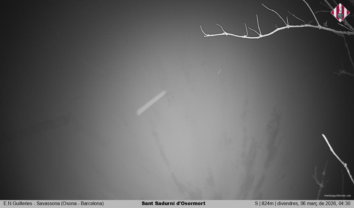 Sant Sadurní d'Osormort 