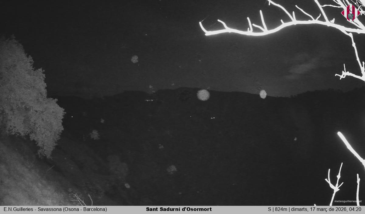 Sant Sadurní d'Osormort 