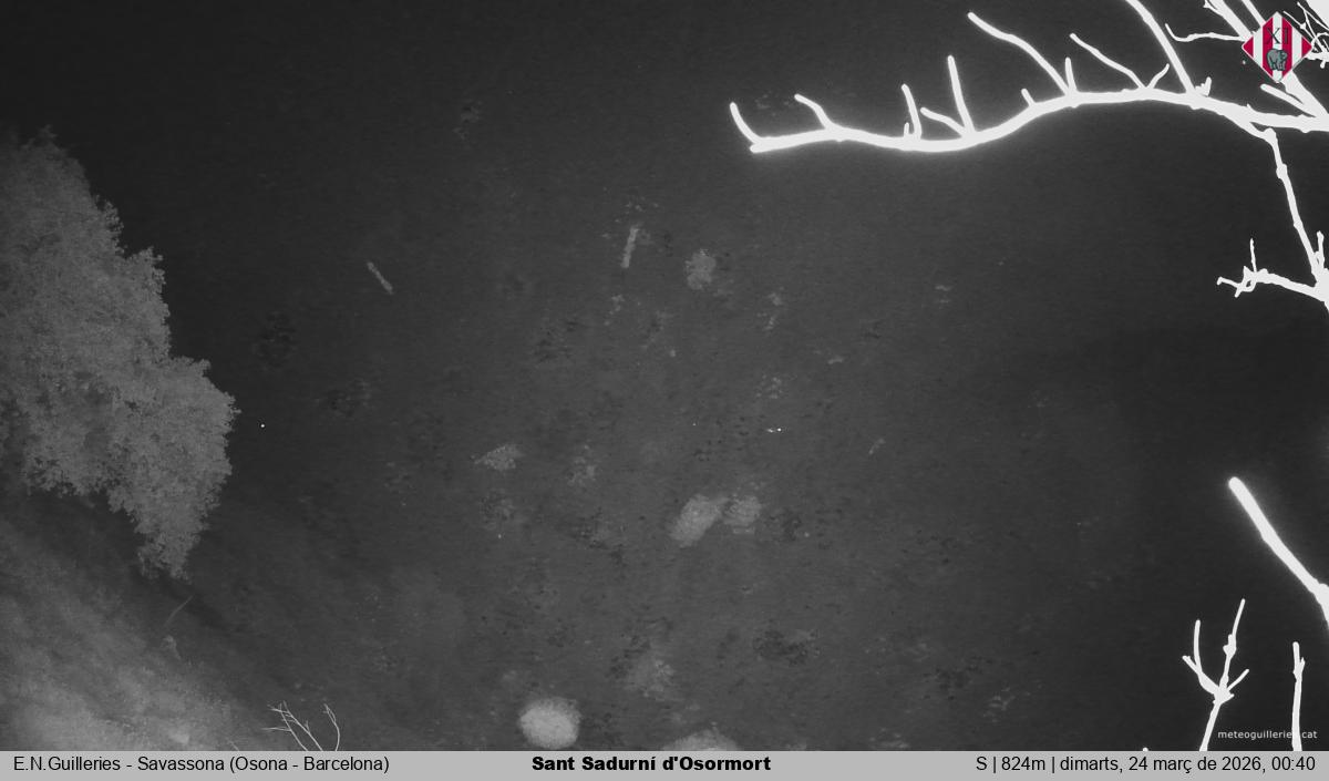 Sant Sadurní d'Osormort 