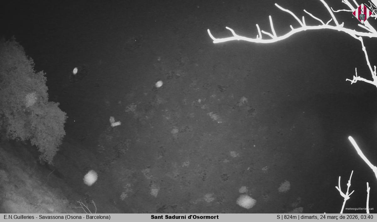 Sant Sadurní d'Osormort 