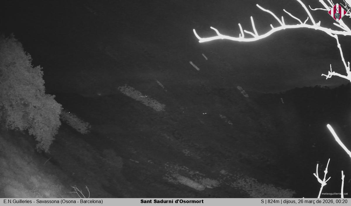 Sant Sadurní d'Osormort 