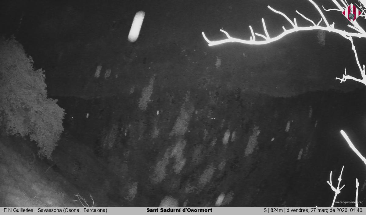 Sant Sadurní d'Osormort 