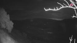 Webcams