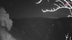 Webcams