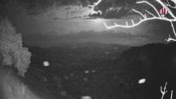 Webcams