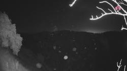 Webcams