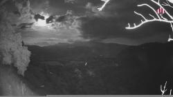 Webcams