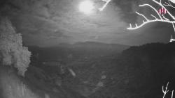 Webcams