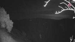 Webcams