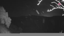Webcams