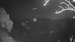 Webcams
