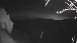 Webcams