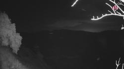 Webcams