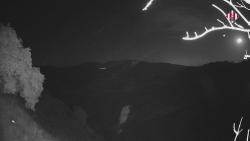 Webcams