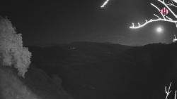 Webcams