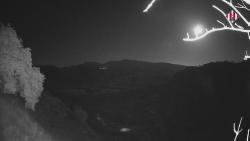 Webcams