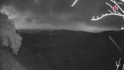 Webcams