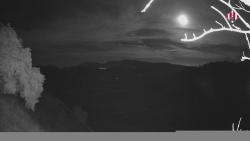 Webcams
