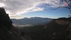 Webcams