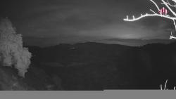 Webcams