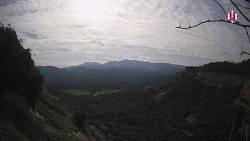 Webcams
