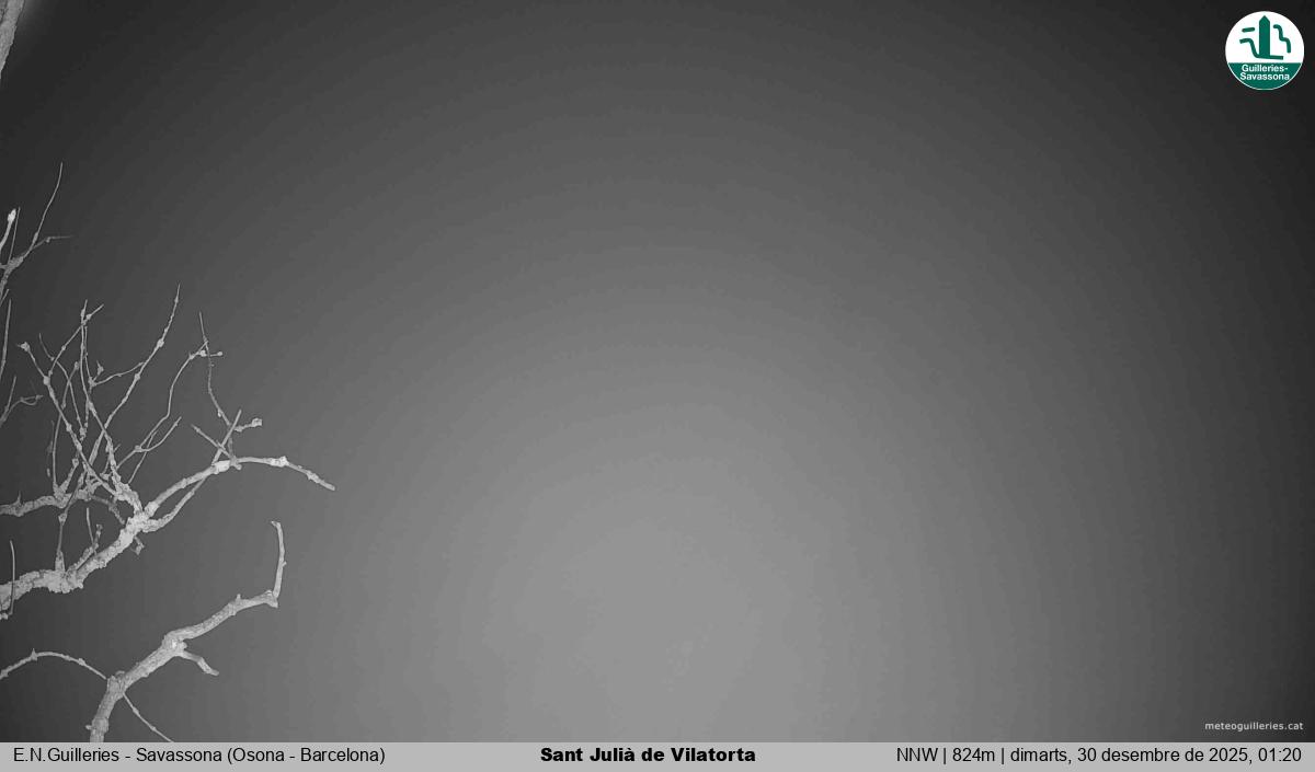 Sant Julià de Vilatorta