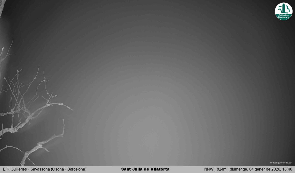 Sant Julià de Vilatorta