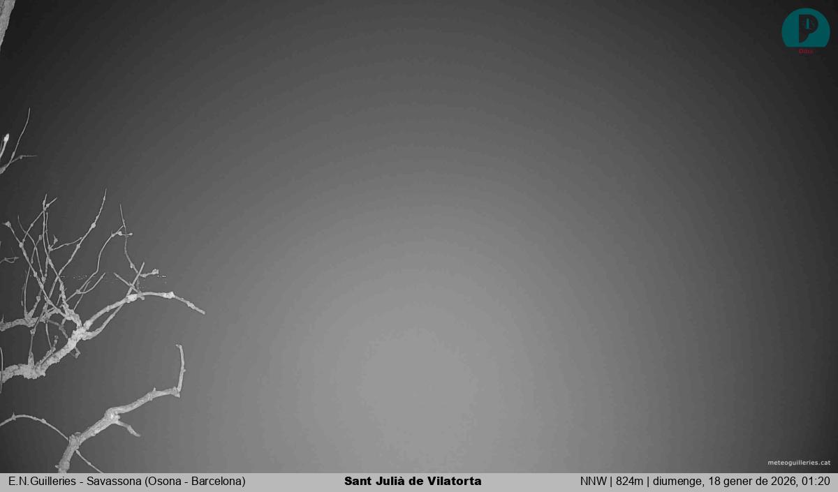 Sant Julià de Vilatorta