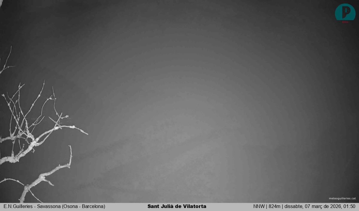 Sant Julià de Vilatorta