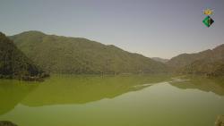 Webcams