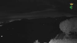Webcams