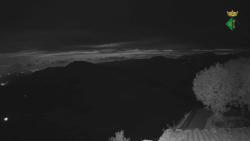 Webcams