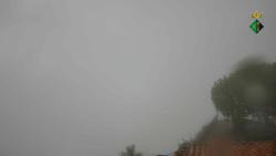 Webcams