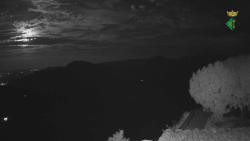 Webcams