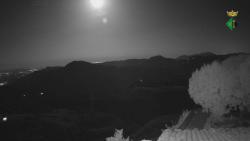Webcams