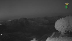 Webcams