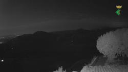 Webcams