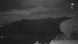 Webcams